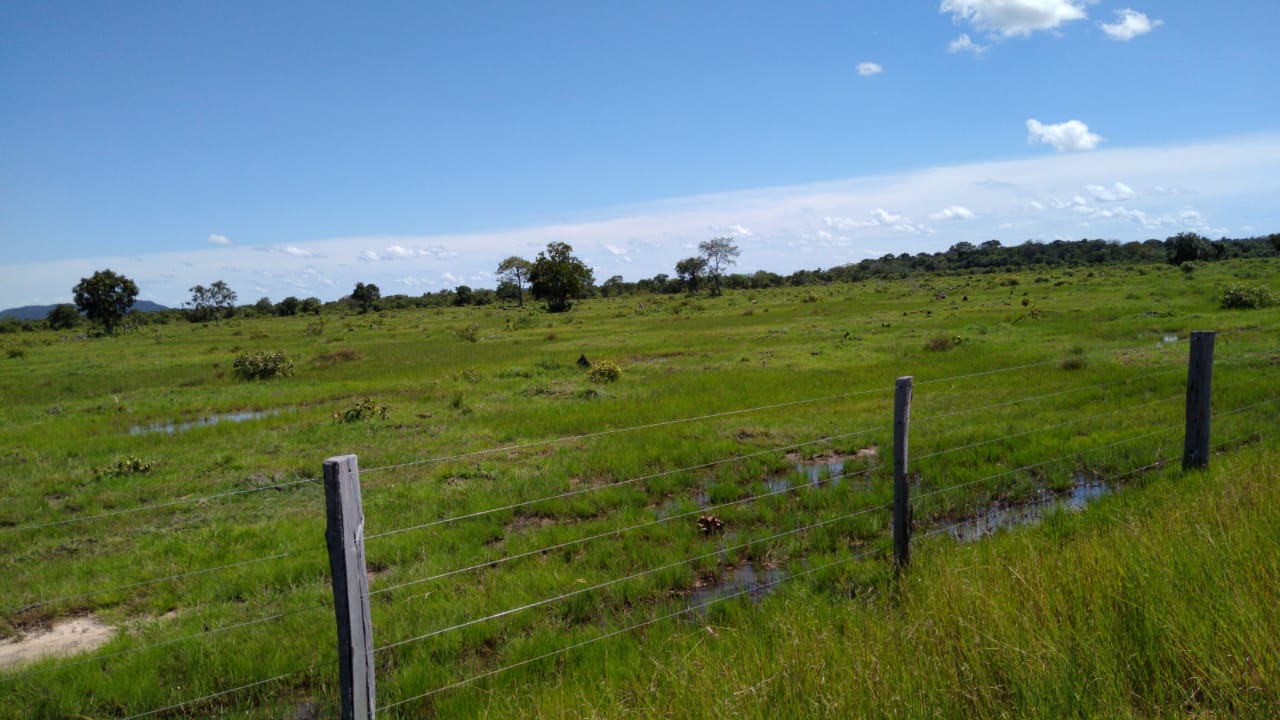 Imagem Fazenda à Venda, 543 Alq GOem Zona Rural - Cocalinho Imagem Fazenda à Venda, 543 Alq GOem Zona Rural - Cocalinho