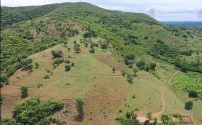 Imagem Fazenda à Venda, 54 Alq GOem Setor Central - Faina Imagem Fazenda à Venda, 54 Alq GOem Setor Central - Faina