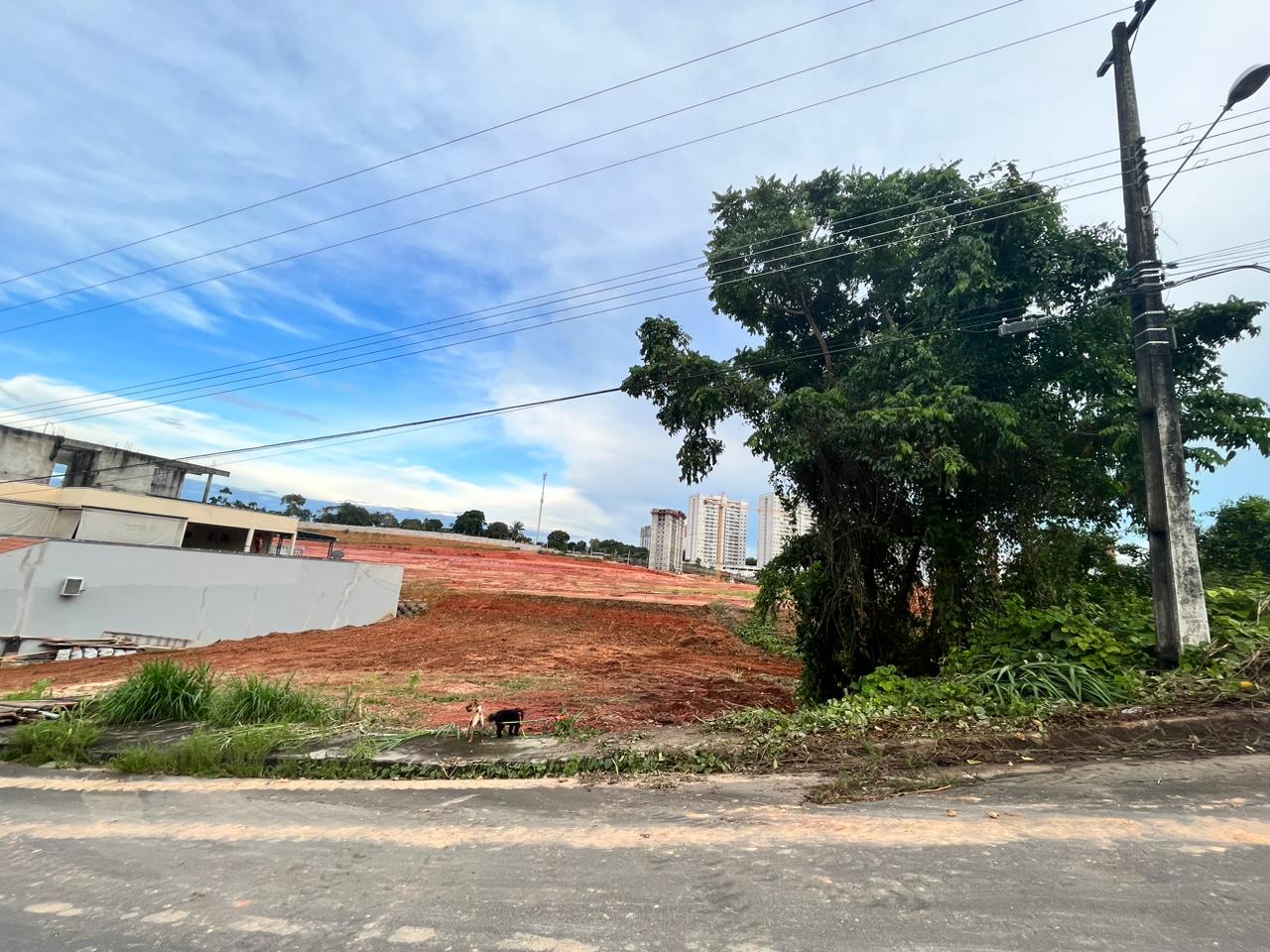 Imagem Terreno à Venda, 312 m²em Ponta Negra - Manaus