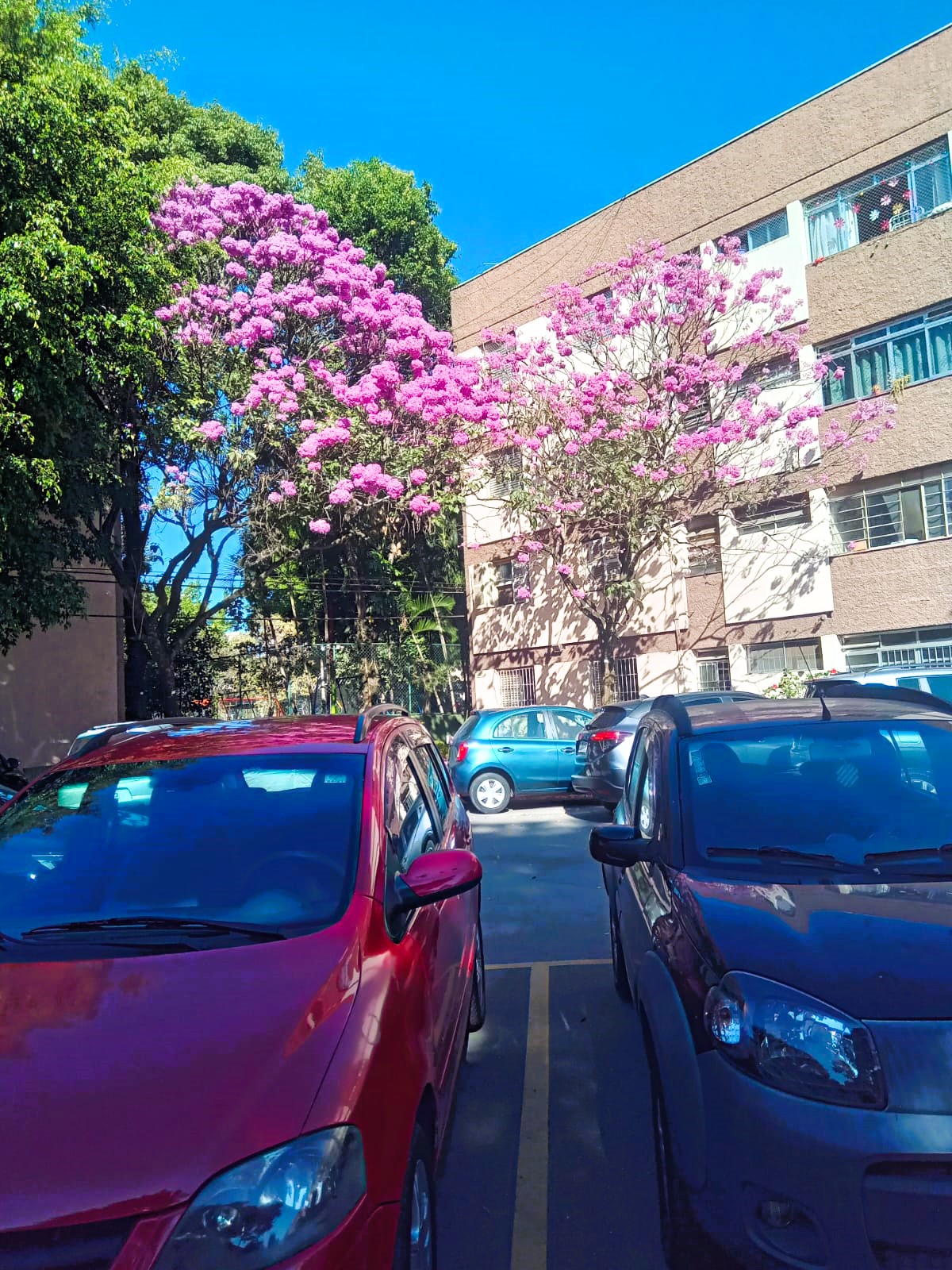 Imagem Apartamento com 2 Quartos à Venda, 60 m²em Parque Residencial da Lapa - São Paulo Imagem Apartamento com 2 Quartos à Venda, 60 m²em Parque Residencial da Lapa - São Paulo