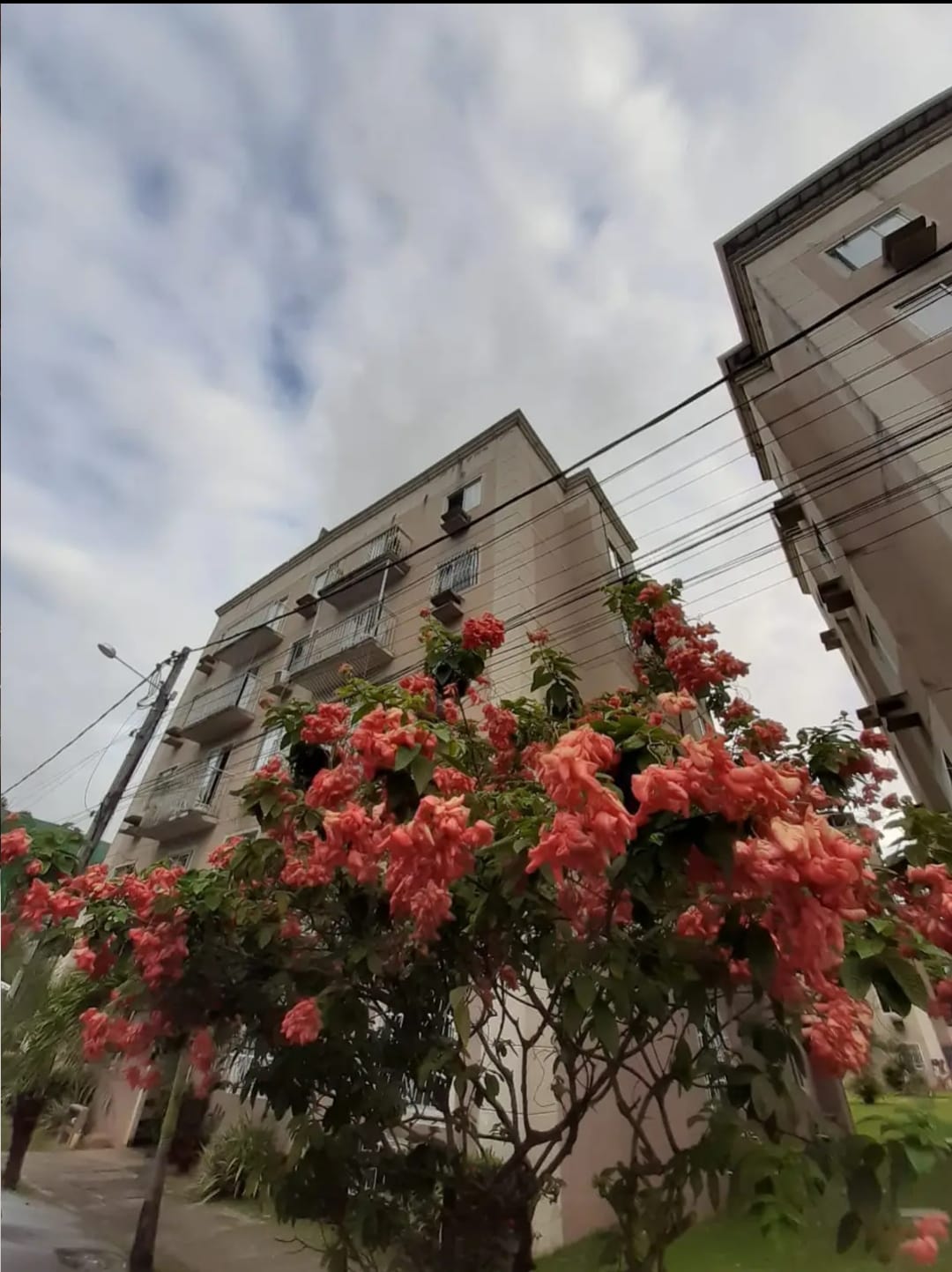 Imagem Apartamento com 3 Quartos para Alugar, 52 m²em Quintas do Picuaia  - Lauro de Freitas 