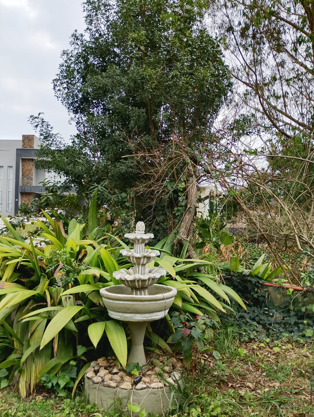 Imagem Casa de Condomínio com 4 Quartos para Alugar, 480 m² em Jardim São Vicente - Cotia