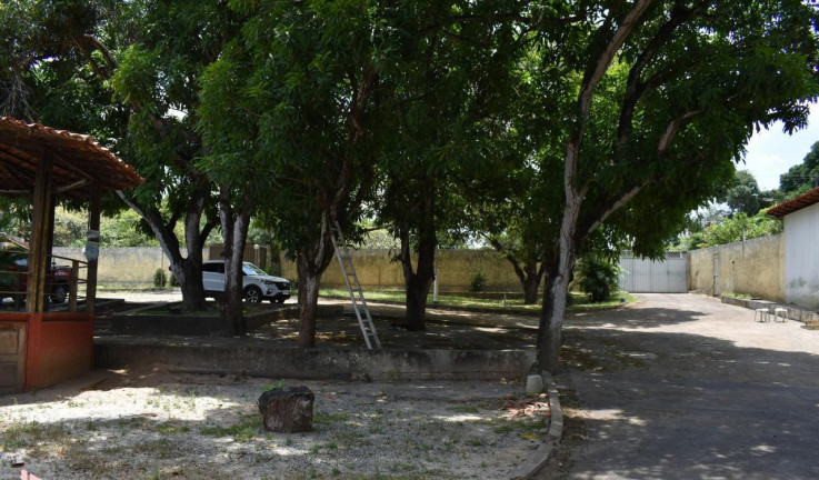 Imagem Fazenda à Venda ou Locação, 300 m² em Vila Esperança - São Luís