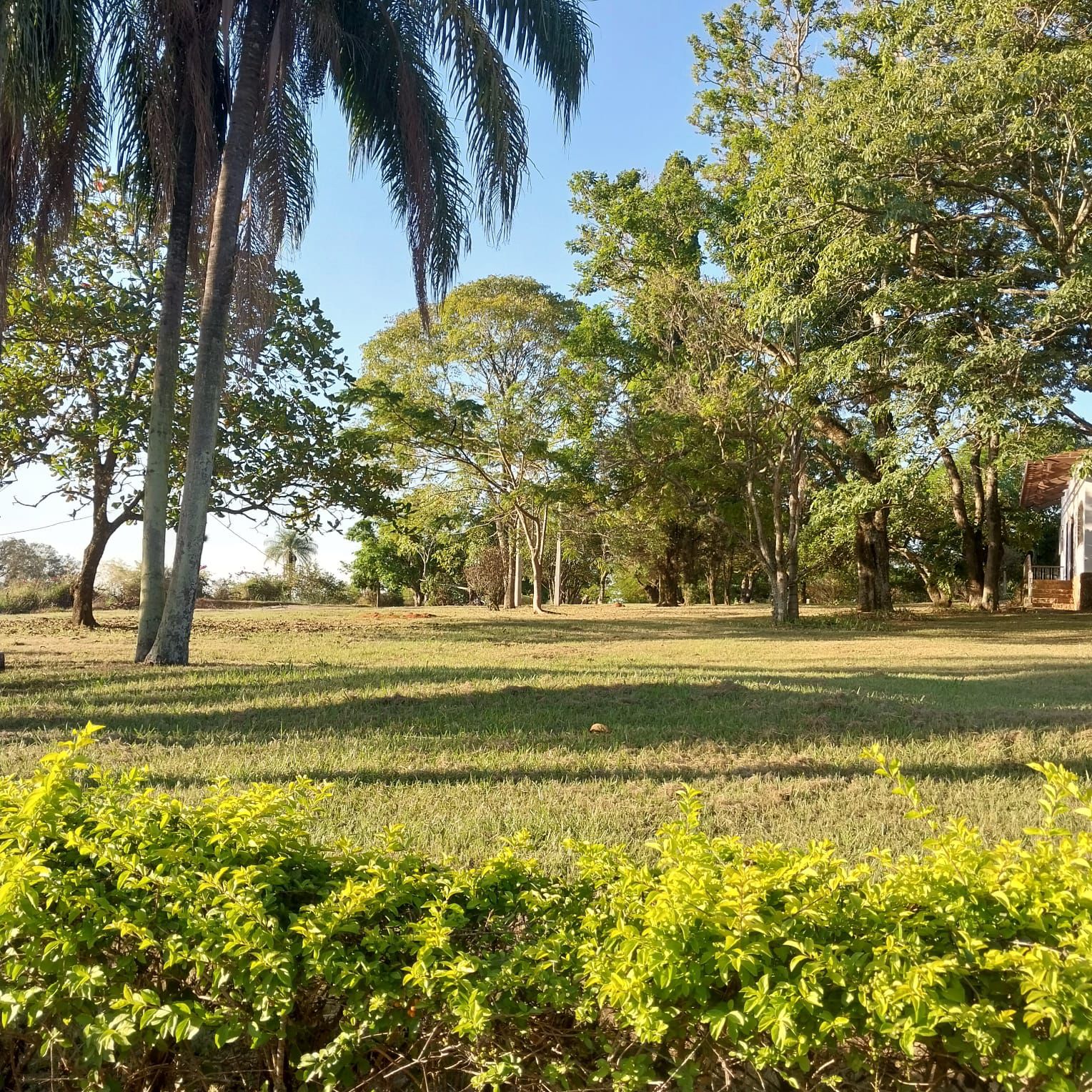 Imagem Terreno em Condomínio à Venda, 250 m²em Colinas do Castelo - Jaguariúna Imagem Terreno em Condomínio à Venda, 250 m²em Colinas do Castelo - Jaguariúna