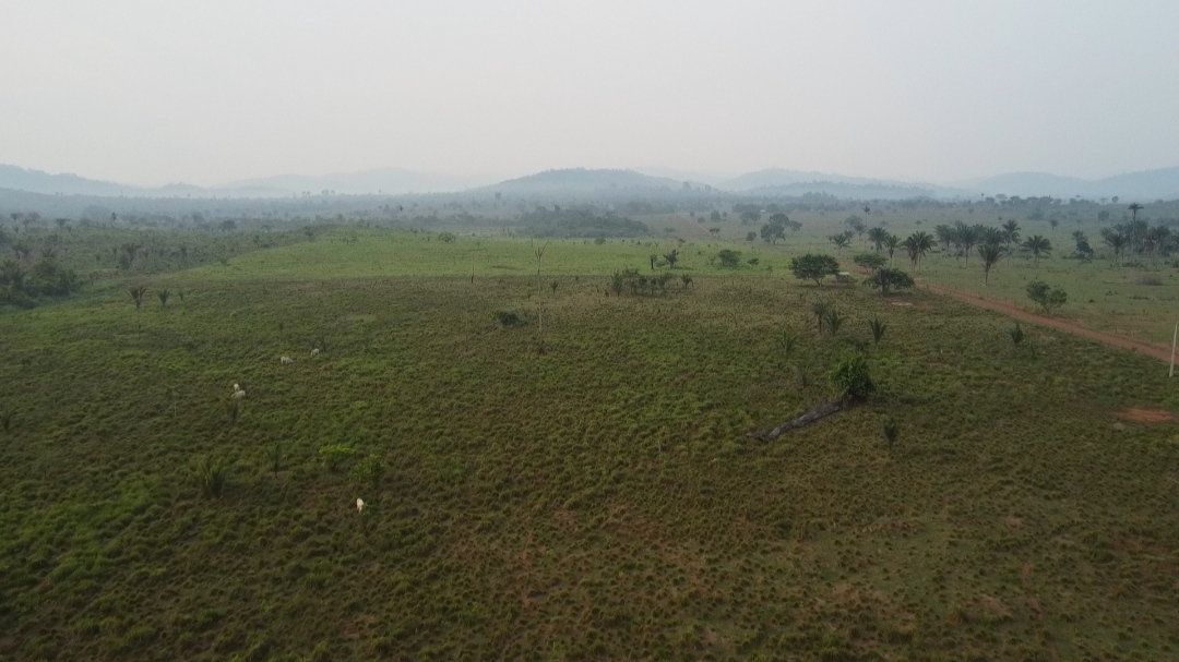 Imagem Fazenda à Venda, 1 m²em Centro  - São Félix do Xingu