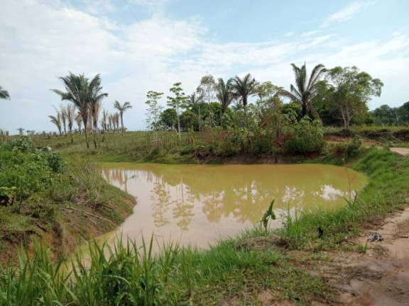 Imagem Terreno à Venda, 2.000 m² em Zona Rural - Humaitá