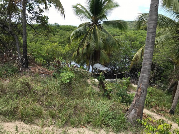 Imagem Terreno à Venda, 160.000 m² em Praia de Tamandaré - Tamandaré