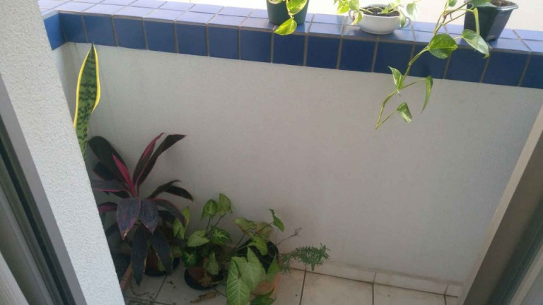 Imagem Apartamento com 2 Quartos à Venda, 61 m² em Centro - Criciúma Imagem Apartamento com 2 Quartos à Venda, 61 m² em Centro - Criciúma