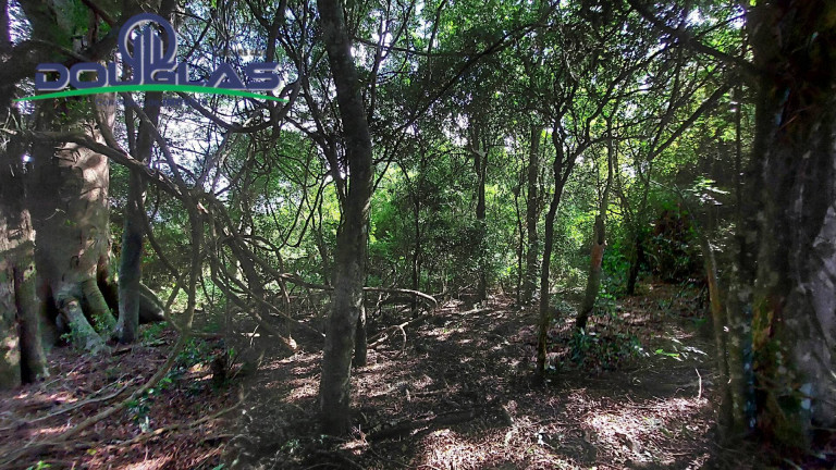 Imagem Chácara com 2 Quartos à Venda, 80 m² em Águas Claras - Viamão