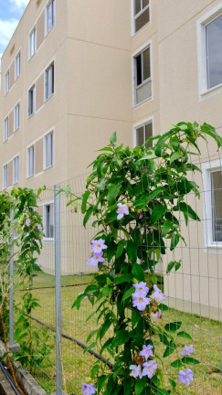 Imagem Apartamento com 2 Quartos à Venda, 42 m² em Jardins - São Gonçalo do Amarante
