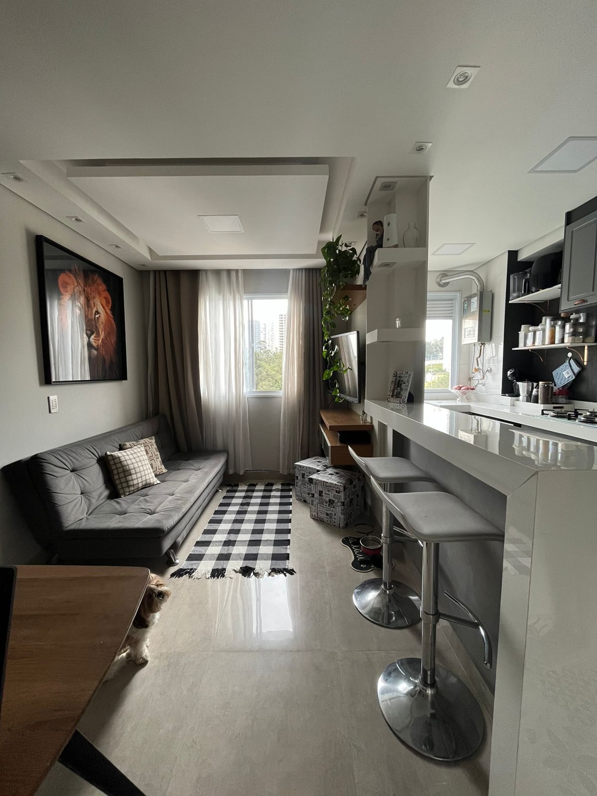 Imagem Apartamento com 2 Quartos à Venda, 40 m²em Parque Reboucas - São Paulo