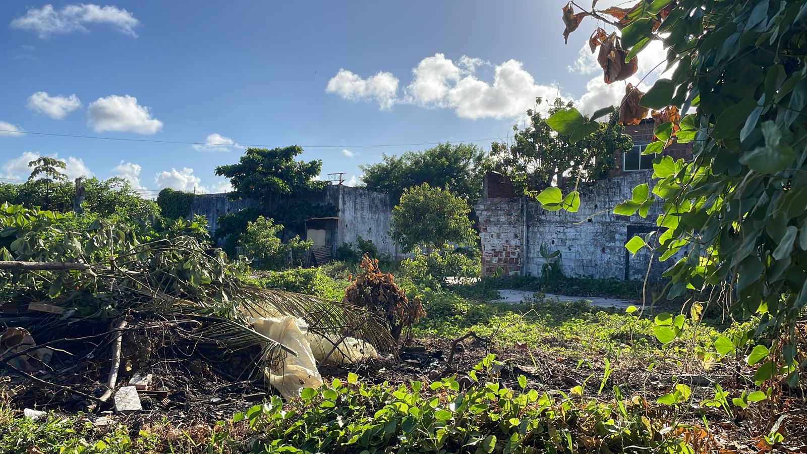 Imagem Terreno à Venda, 1.400 m² em Barra de Jangada - Jaboatão dos Guararapes Imagem Terreno à Venda, 1.400 m² em Barra de Jangada - Jaboatão dos Guararapes