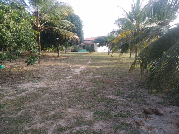 Imagem Terreno à Venda, 5.332 m² em Panaquatira - São José de Ribamar Imagem Terreno à Venda, 5.332 m² em Panaquatira - São José de Ribamar