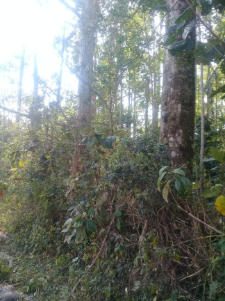 Imagem Terreno à Venda, 123.000 m² em Zona Rural - Santa Bárbara do Tugúrio Imagem Terreno à Venda, 123.000 m² em Zona Rural - Santa Bárbara do Tugúrio