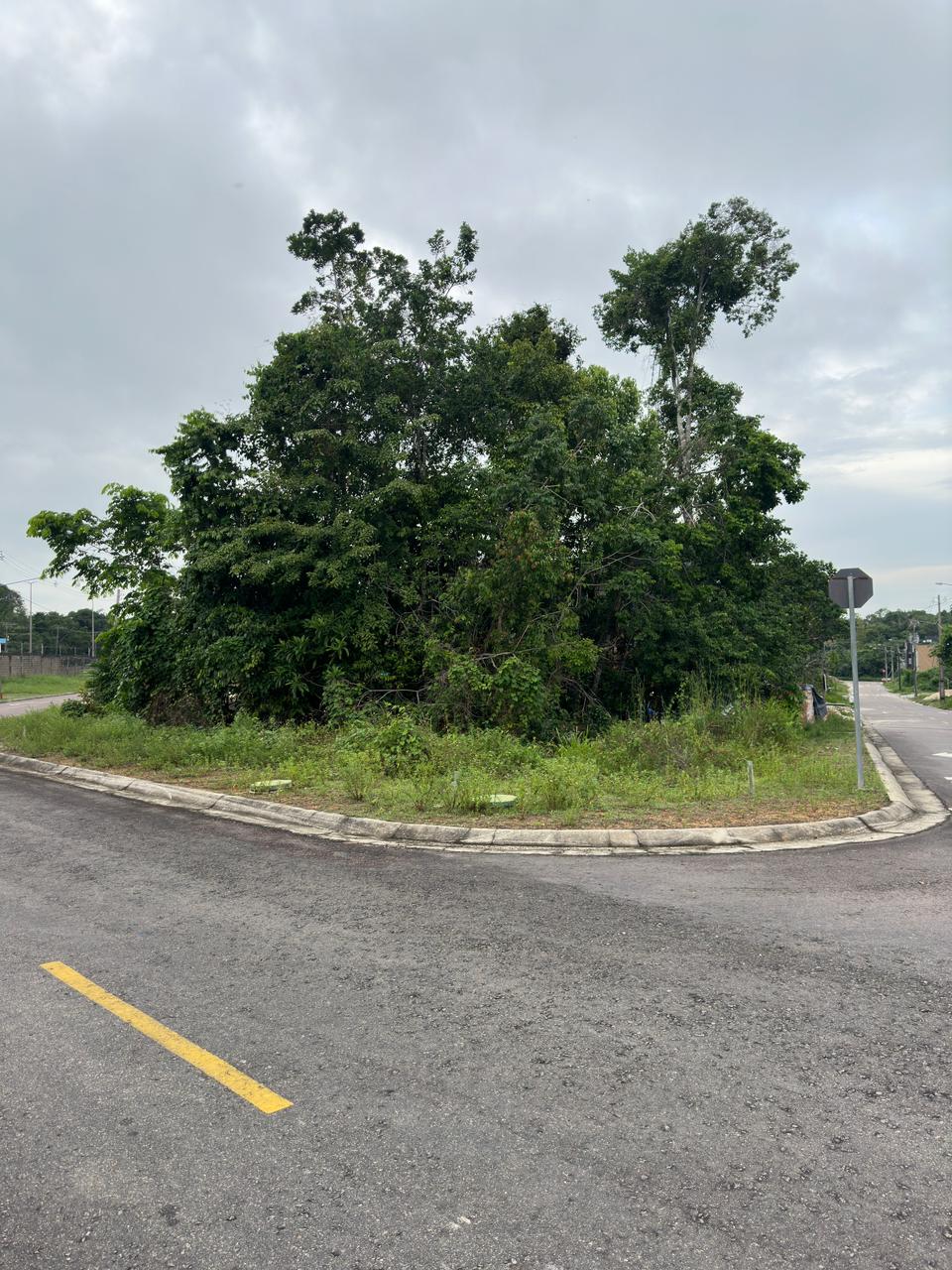 Imagem Terreno em Condomínio à Venda, 354 m² em Ponta Negra - Manaus Imagem Terreno em Condomínio à Venda, 354 m² em Ponta Negra - Manaus