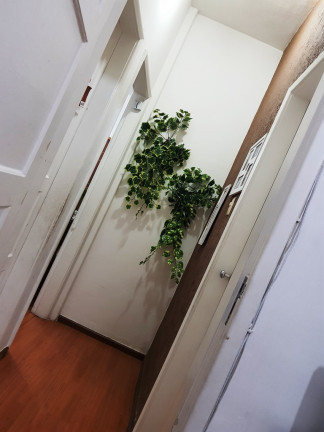 Imagem Apartamento com 2 Quartos à Venda, 70 m² em Icaraí - Niterói Imagem Apartamento com 2 Quartos à Venda, 70 m² em Icaraí - Niterói