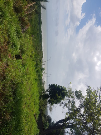 Imagem Terreno à Venda, 15.300 m² em Arçagy - São José de Ribamar