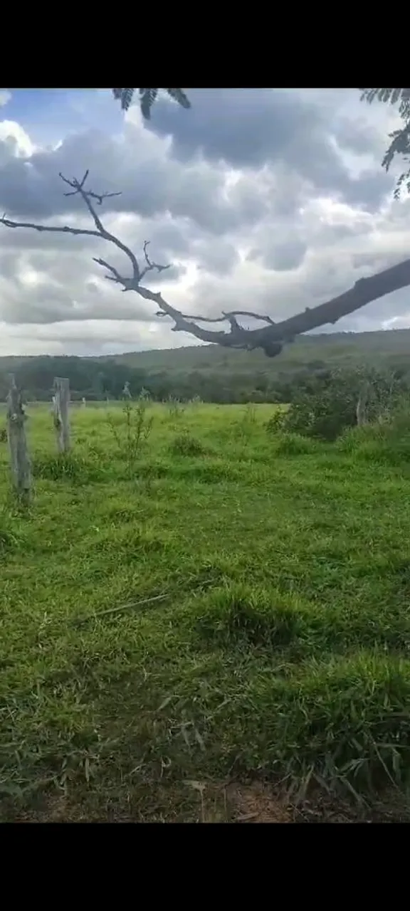 Imagem Fazenda à Venda, em Samambaia Sul (Samambaia) - Brasília