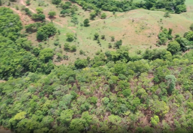 Imagem Fazenda à Venda, 54 Alq GOem Setor Central - Faina Imagem Fazenda à Venda, 54 Alq GOem Setor Central - Faina