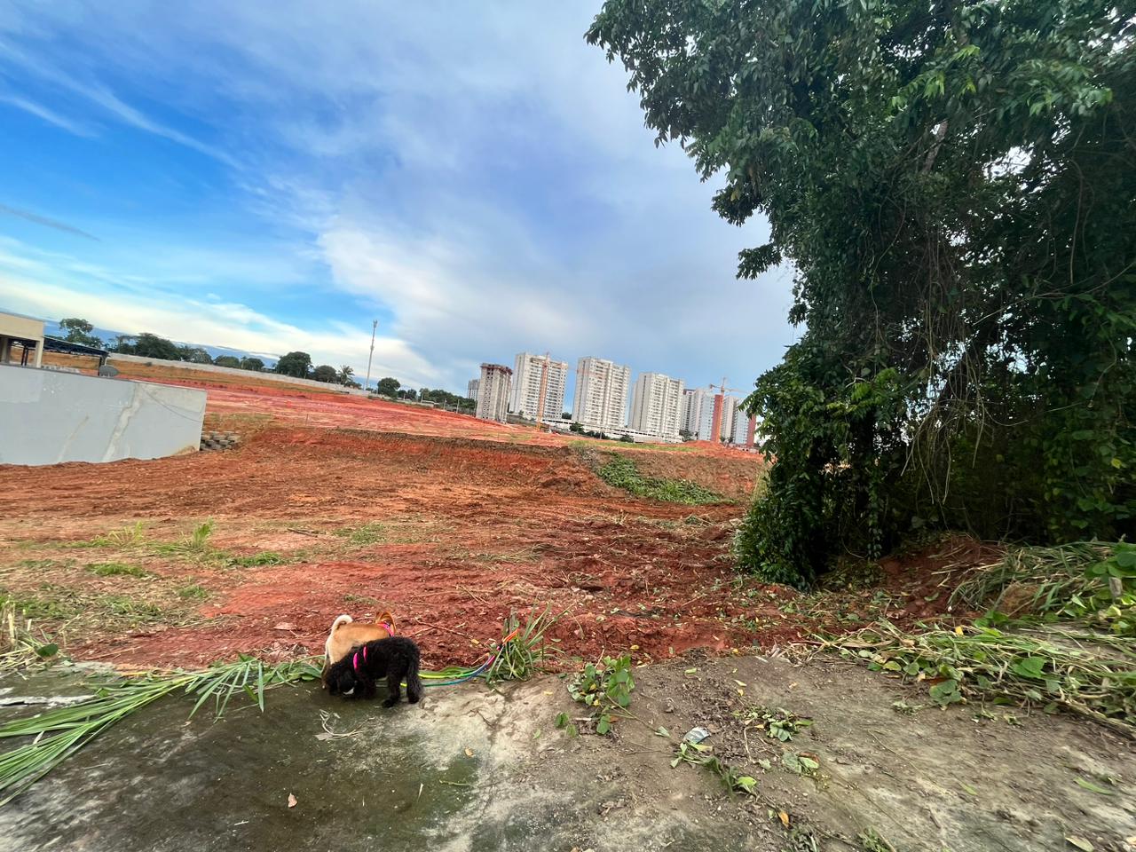 Imagem Terreno à Venda, 312 m²em Ponta Negra - Manaus