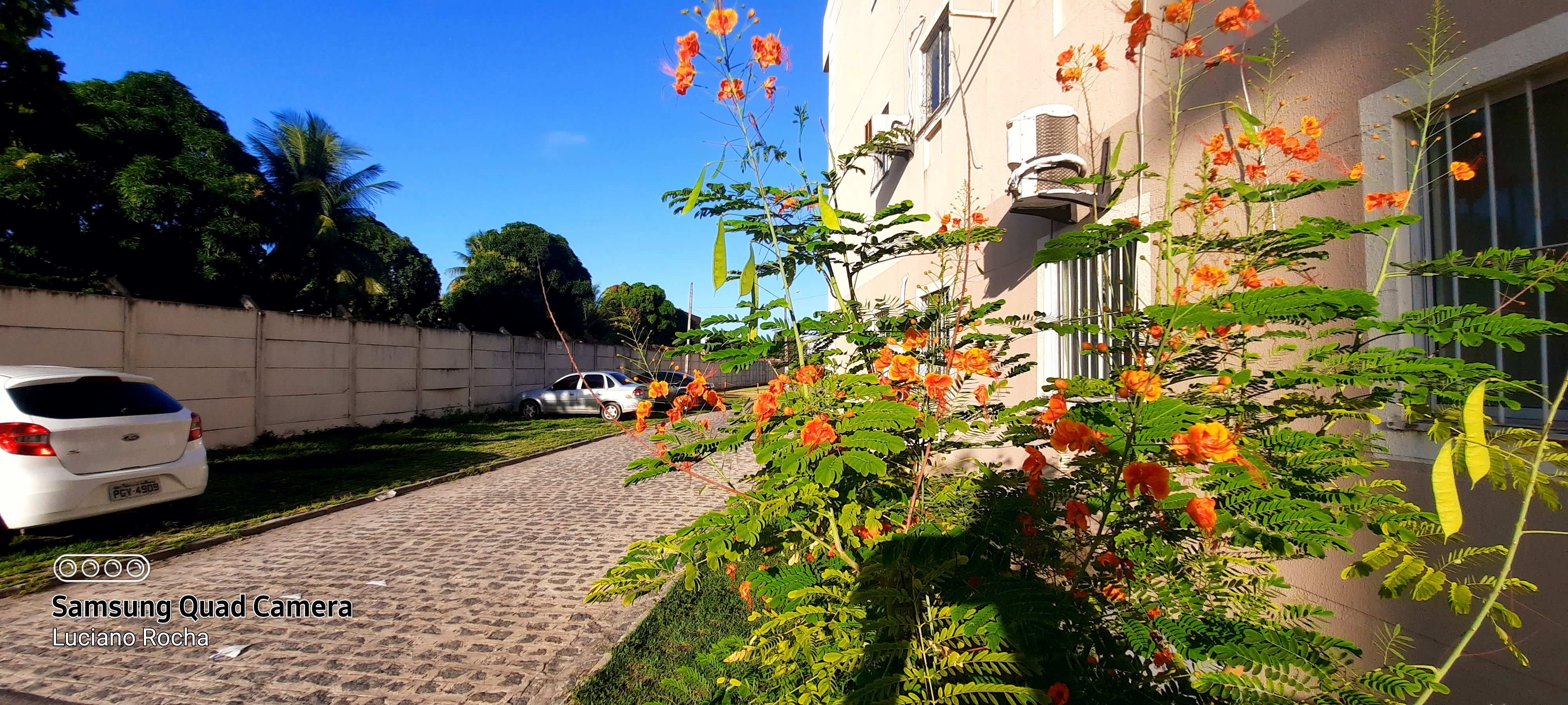 Imagem Apartamento com 3 Quartos para Alugar, 60 m²em Candeias - Jaboatão dos Guararapes Imagem Apartamento com 3 Quartos para Alugar, 60 m²em Candeias - Jaboatão dos Guararapes
