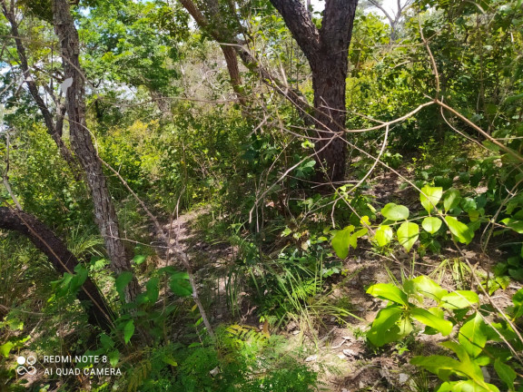 Fazenda à Venda,  em Mirador/ma - Mirador