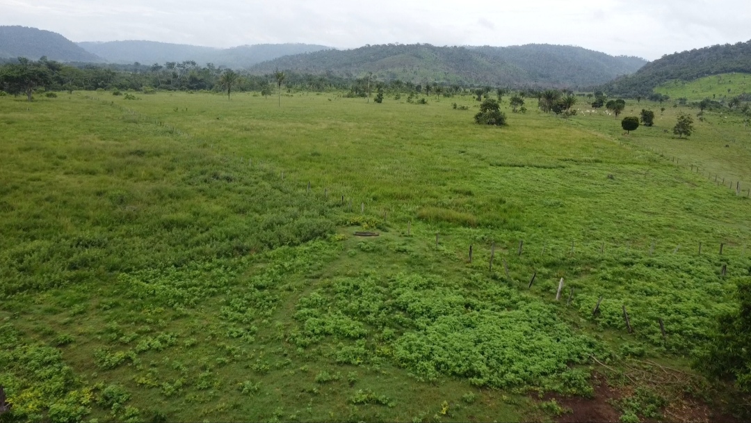 Imagem Fazenda à Venda, 90 m²em Centro - São Félix do Xingu