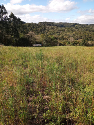 Imagem Chácara à Venda, 31.460 m² em LEÃO - Agudos do Sul