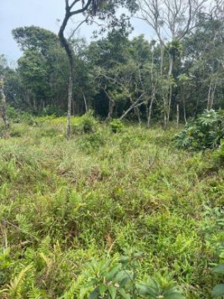 Imagem Terreno à Venda, 280 m² em Jd. Marambá - Itanhaém Imagem Terreno à Venda, 280 m² em Jd. Marambá - Itanhaém