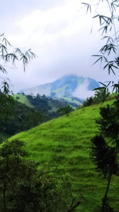 Imagem Chácara com 3 Quartos à Venda, 23.200 m² em Rio Lourenço Velho - Delfim Moreira Imagem Chácara com 3 Quartos à Venda, 23.200 m² em Rio Lourenço Velho - Delfim Moreira
