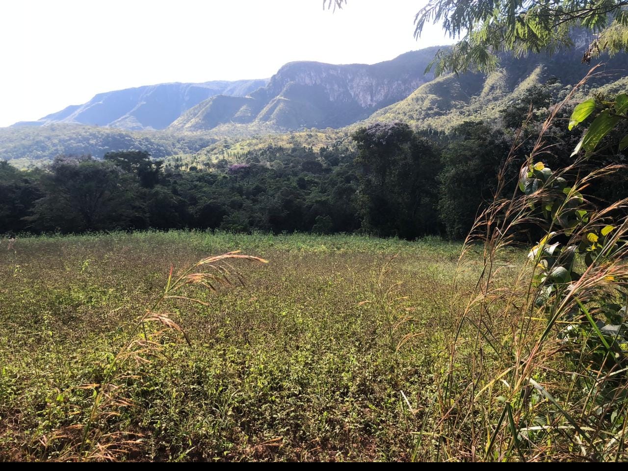 Imagem Chácara à Venda, 60 m²em Centro - Alto Paraíso de Goiás Imagem Chácara à Venda, 60 m²em Centro - Alto Paraíso de Goiás