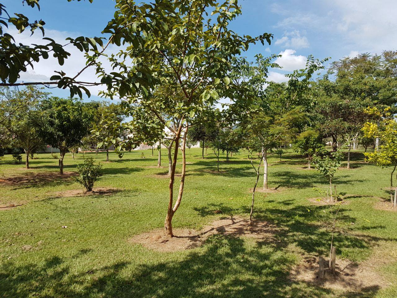 Imagem Terreno em Condomínio à Venda, 450 m²em Condomínio Reserva da Serra - Jundiaí Imagem Terreno em Condomínio à Venda, 450 m²em Condomínio Reserva da Serra - Jundiaí