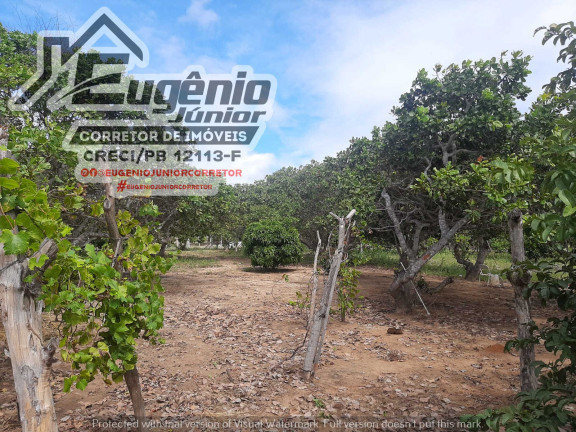Imagem Chácara com 2 Quartos à Venda, 1.600 m² em Zona Rural - São José de Piranhas Imagem Chácara com 2 Quartos à Venda, 1.600 m² em Zona Rural - São José de Piranhas