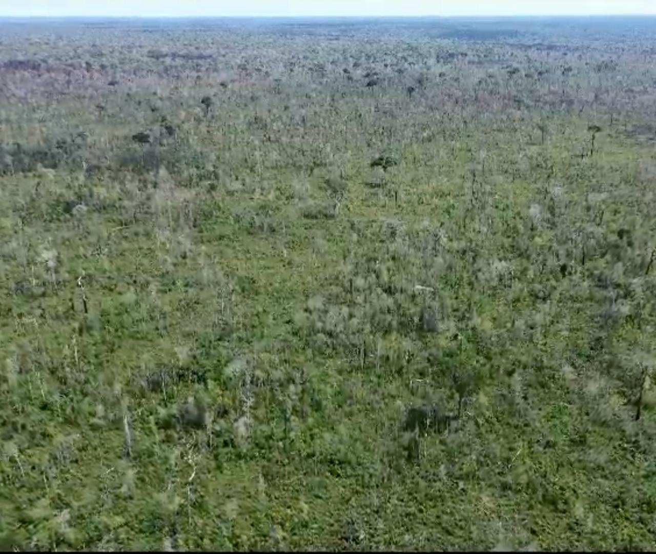 Imagem Fazenda à Venda, 1 HAem Área Rural de Santarém - Santarém