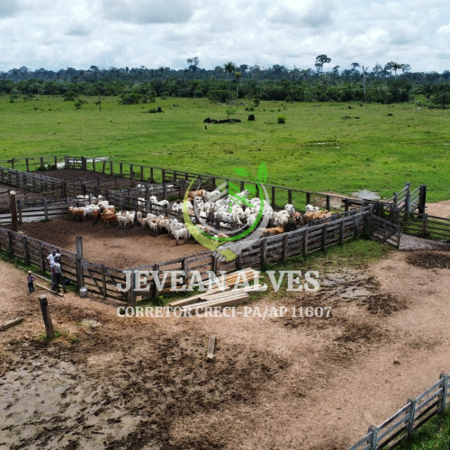 Imagem Fazenda à Venda, 4 m²em Centro  - São Félix do Xingu