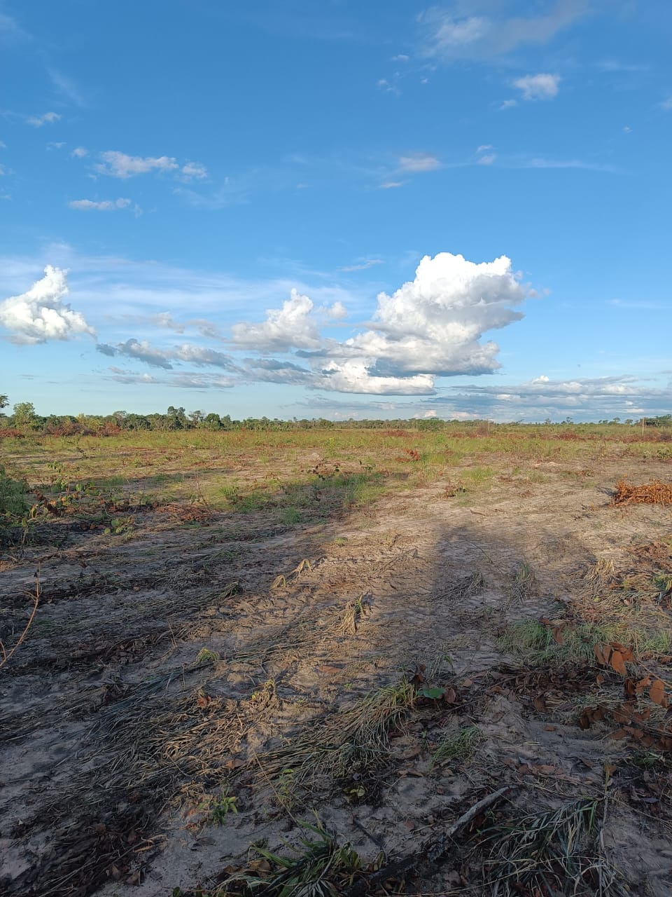 Imagem Fazenda à Venda, 250 HAem ZONA RURAL - Balsas Imagem Fazenda à Venda, 250 HAem ZONA RURAL - Balsas