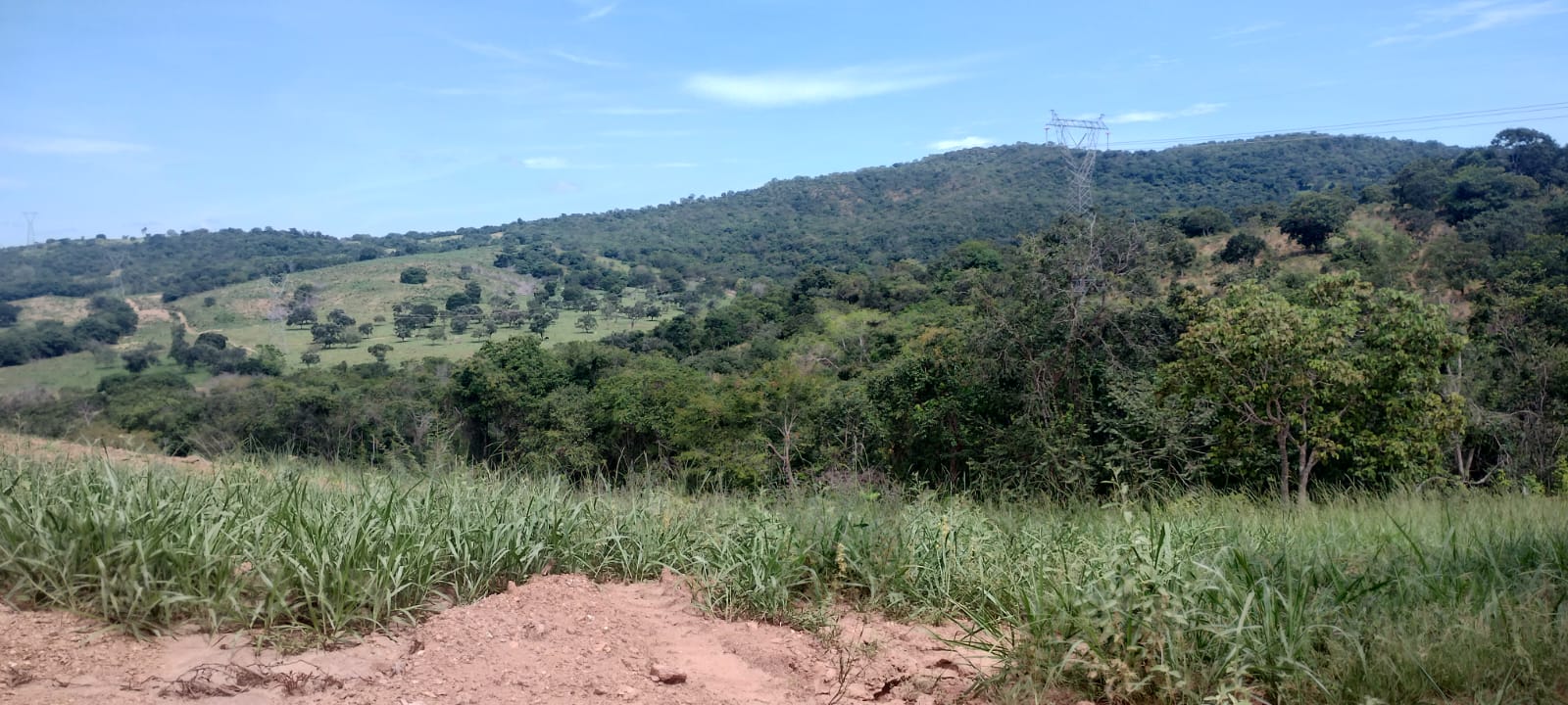 Imagem Fazenda à Venda, 16 Alq GO em SN - Caldas Novas Imagem Fazenda à Venda, 16 Alq GO em SN - Caldas Novas