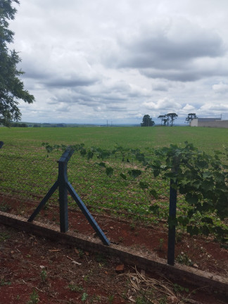 Imagem Terreno à Venda, em Vila Industrial - Arapongas Imagem Terreno à Venda, em Vila Industrial - Arapongas