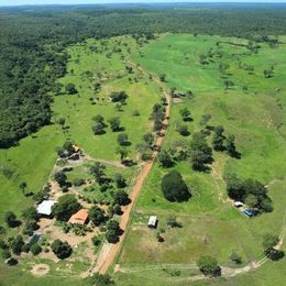 Imagem Fazenda à Venda, 103 Alq GOem ZONA RURAL - Pedro Afonso Imagem Fazenda à Venda, 103 Alq GOem ZONA RURAL - Pedro Afonso