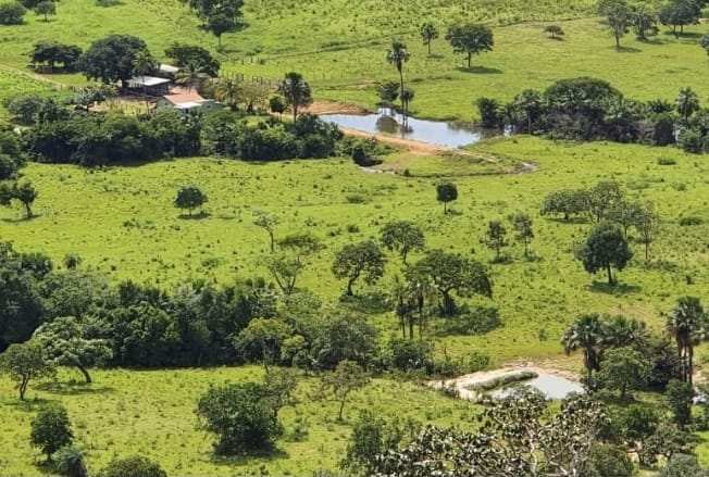 Imagem Fazenda à Venda, 136 Alq GOem ZONA RURAL - Crixás Imagem Fazenda à Venda, 136 Alq GOem ZONA RURAL - Crixás