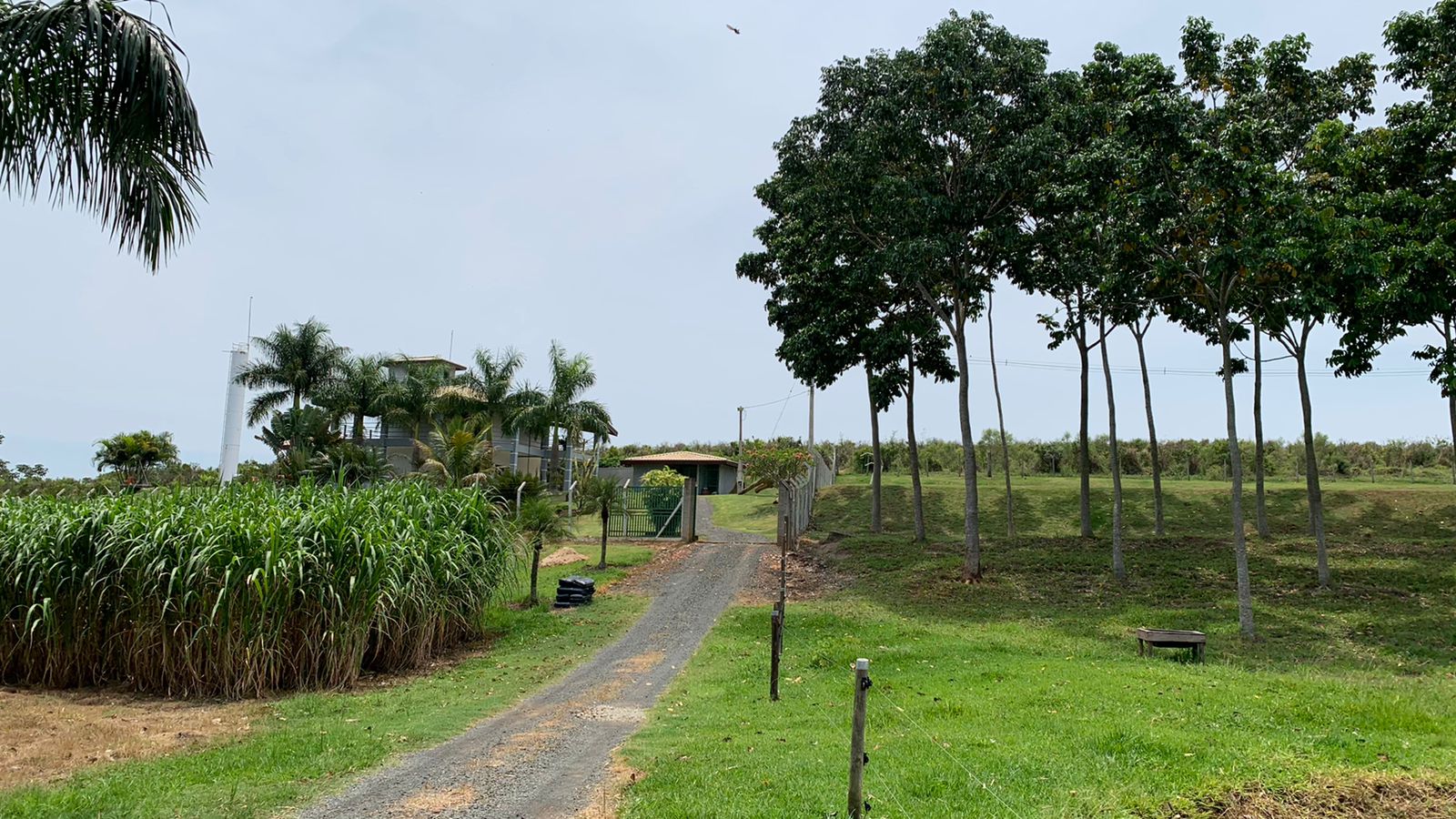 Imagem Chácara com 3 Quartos à Venda, 390 m²em Novo - Artur Nogueira