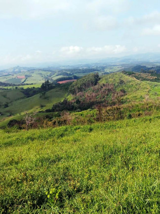 Imagem Fazenda à Venda, 135 Alq SP em Rural - Caconde