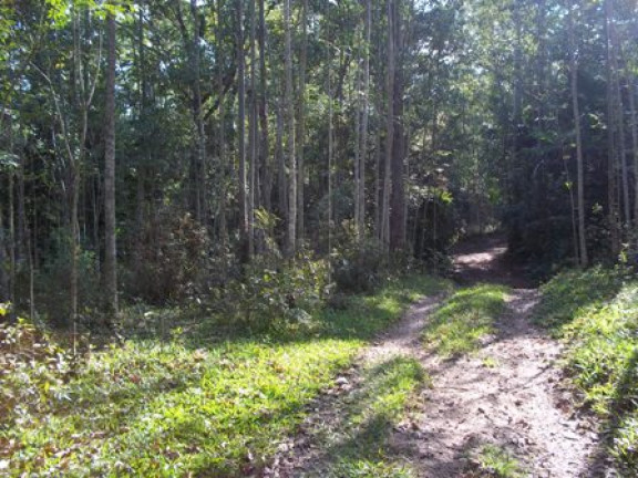 Imagem Terreno à Venda, 70.000 m² em Morro Chato - Turvo Imagem Terreno à Venda, 70.000 m² em Morro Chato - Turvo