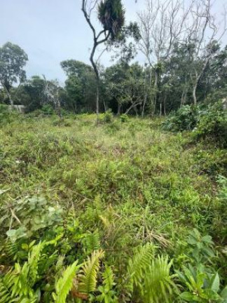 Imagem Terreno à Venda, 280 m² em Jd. Marambá - Itanhaém Imagem Terreno à Venda, 280 m² em Jd. Marambá - Itanhaém
