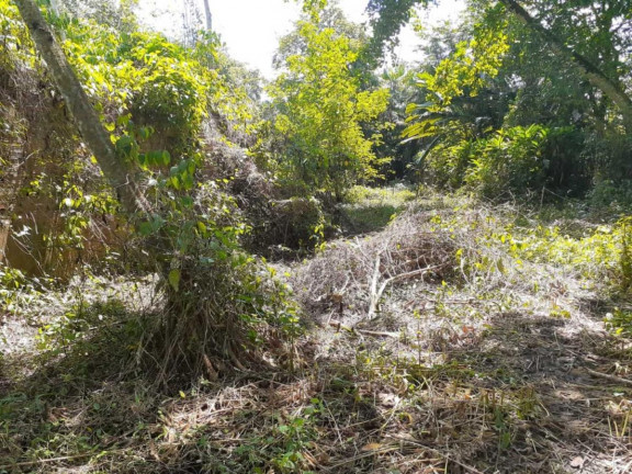 Imagem Terreno à Venda, em Marituba - Ananindeua Imagem Terreno à Venda, em Marituba - Ananindeua