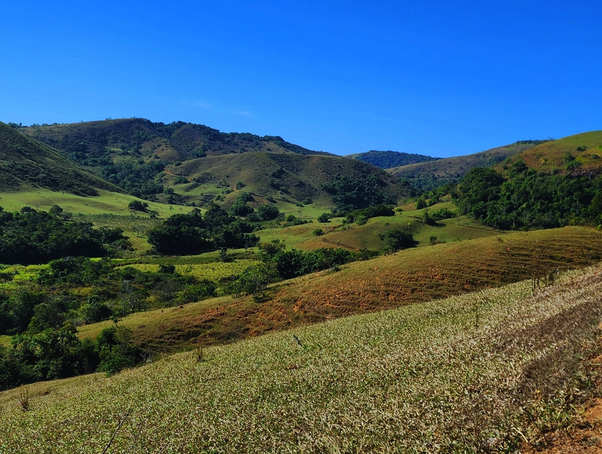 Imagem Fazenda à Venda, 459.000 HA em Área Rural de Valença - Valença Imagem Fazenda à Venda, 459.000 HA em Área Rural de Valença - Valença