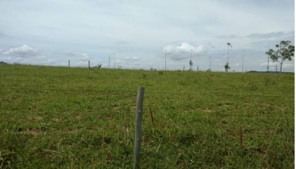 Imagem Fazenda à Venda, 8 Alq GOem Zona Rural - Silvânia Imagem Fazenda à Venda, 8 Alq GOem Zona Rural - Silvânia