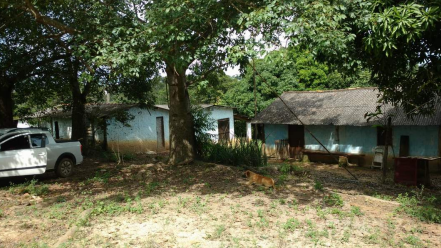 Imagem Fazenda à Venda, 8 Alq GOem Zona Rural - Silvânia Imagem Fazenda à Venda, 8 Alq GOem Zona Rural - Silvânia