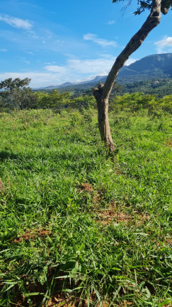 Imagem Terreno à Venda, 2.000 m² em Carneiros - Brumadinho Imagem Terreno à Venda, 2.000 m² em Carneiros - Brumadinho