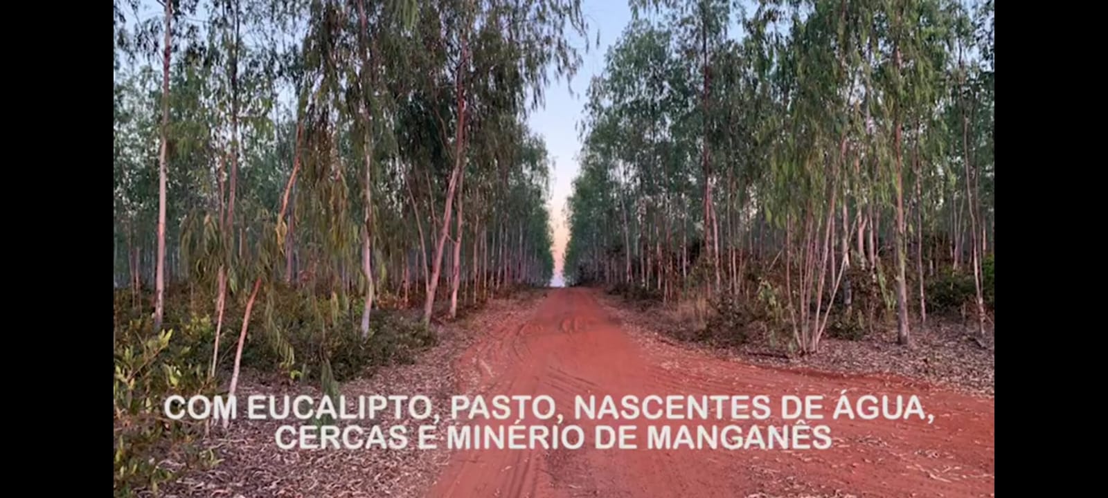 Imagem Fazenda à Venda, 1 HAem Zona Rural - Juscimeira Imagem Fazenda à Venda, 1 HAem Zona Rural - Juscimeira